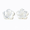 Natural White Shell Mother of Pearl Shell Beads SSHEL-T014-42D-4