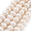 Natural Cultured Freshwater Pearl Beads Strands PEAR-C003-15C-1