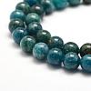 Natural Apatite Beads Strands G-F475-06-8mm-3