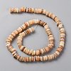 Natural Freshwater Shell Beads Strands SHEL-C001-06B-3