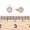 Brass Micro Pave Cubic Zirconia Charms KK-U028-19G-01-3