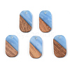 Resin & Walnut Wood Pendants RESI-S389-023A-2