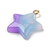 Gradient Color Resin Pendants FIND-Z010-01C-2