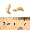 304 Stainless Steel Charms STAS-M017-14C-G-1-3