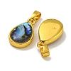 Rack Plating Brass Pave Natural Paua Shell Pendants KK-U025-08G-01-2