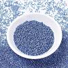 MIYUKI Delica Beads SEED-X0054-DB1210-2