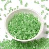 Glass Seed Beads X1-SEED-H002-F-1111-2
