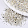 Glass Seed Beads X1-SEED-S042-04A-06-1