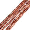 Natural Freshwater Shell Dyed Beads Strands SHEL-M018-14-02-1