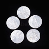 Natural White Shell Cabochons SSHEL-D083-12A-1