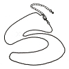 Brass Rolo Chains Necklaces for Women NJEW-D302-45B-4