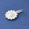 S925 Sterling Silver Charm STER-H115-11C-S-2