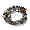 Natural African Bloodstone Beads Strands G-P497-01C-22-3