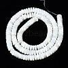 Natural Trochid Shell/Trochus Shell Beads Strands SSHEL-S266-019A-02-2