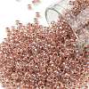 TOHO Round Seed Beads X-SEED-TR08-0784-1