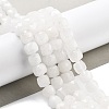 Natural White Jade Beads Strands G-C179-B23-01-2