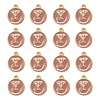 Golden Plated Alloy Enamel Charms ENAM-S118-07Y-2