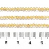 Heated Natural Citrine Beads Strands X-G-Z074-A03-01-5