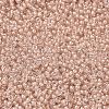 MIYUKI Round Rocailles Beads SEED-G007-RRHB279-2