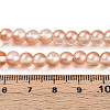 Baking Paint Transparent Glass Beads X1-DGLA-N011-6mm-04-4