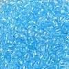 Transparent Colours Glass Seed Beads SEED-P007-02A-10-3