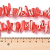 Dyed Natural Trochus Shell Beads Strands SSHEL-C013-09D-4