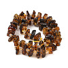 Natural Amber Beads Strands G-F802-A01-01-3