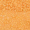 Baking Paint Glass Seed Beads SEED-L011-09A-04-3