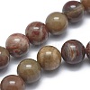 Natural Petrified Wood Beads Strands LS-G-I254-07B-1