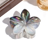 Flower Plastic Claw Hair Clips PW-WGD28A5-02-1