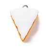 Cake Shape Resin Pendants RESI-Q013-01B-2