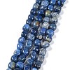Natural Gemstone Beads Strands G-C038-02J-1