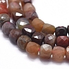 Natural Multi-Color Agate Beads Strands G-D0013-24-3