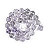 Natural Amethyst Beads Beads Strands G-Q164-G05-02-3