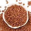 Baking Paint Glass Seed Beads SEED-L011-09A-25-2