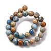 Dyed Natural Regalite/Imperial Jasper/Sea Sediment Jasper Beads Strands X-G-B124-C02-15-5