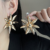 Iron Stud Earrings FS-WG0B059-04-1
