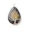 Natural Crackle Agate Pendants PALLOY-JF01526-01-3