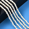 Natural Cultured Freshwater Pearl Beads Strand PEAR-N015-03B-6