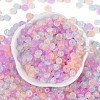 Transparent Colours Glass Seed Beads SEED-P008-01B-09-3