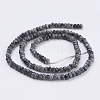 Natural Larvikite Beads Strands G-K255-19-2