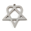 Non-Tarnish 304 Stainless Steel Pendants STAS-R228-03P-1