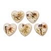 Transparent Resin Cabochons RESI-K033-12A-1