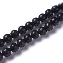 Natural Shungite Beads Strands G-H237-8mm
