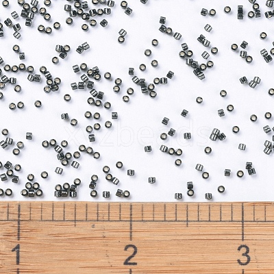 MIYUKI Delica Beads X-SEED-J020-DB0613-1
