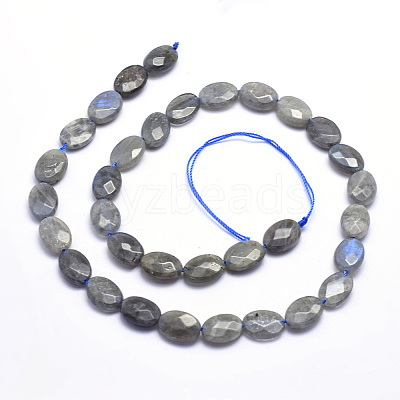 Natural Labradorite Beads Strands G-K223-62B-1