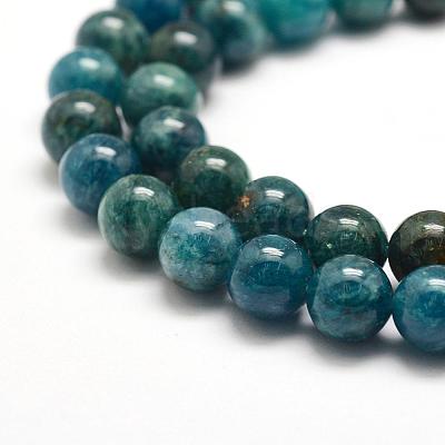 Natural Apatite Beads Strands G-F475-06-8mm-1