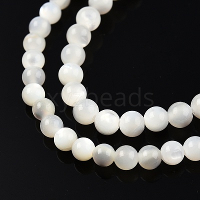 Natural White Shell Bead Strands SSHEL-N003-144C-01-1