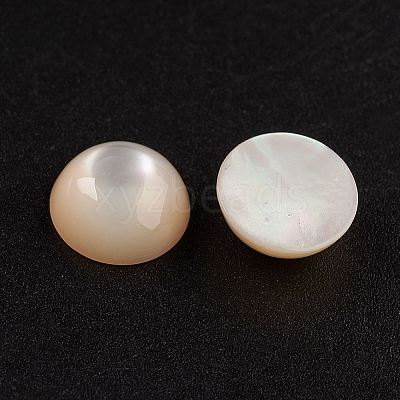 Natural White Shell Mother of Pearl Shell Cabochons SSHEL-G014-13-1