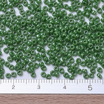 MIYUKI Round Rocailles Beads X-SEED-G007-RR0431-1